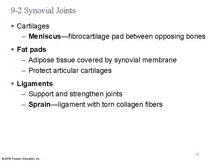 9 -2 Synovial Joints § Cartilages – Meniscus—fibrocartilage pad between opposing bones § Fat