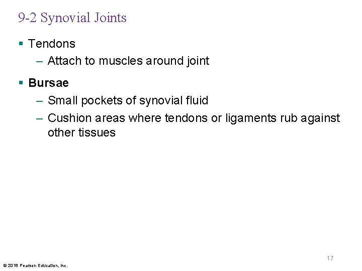 9 -2 Synovial Joints § Tendons – Attach to muscles around joint § Bursae