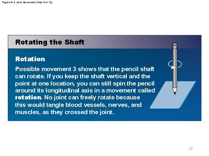 Figure 9– 2 Joint Movement (Part 5 of 12). Rotating the Shaft Rotation Possible