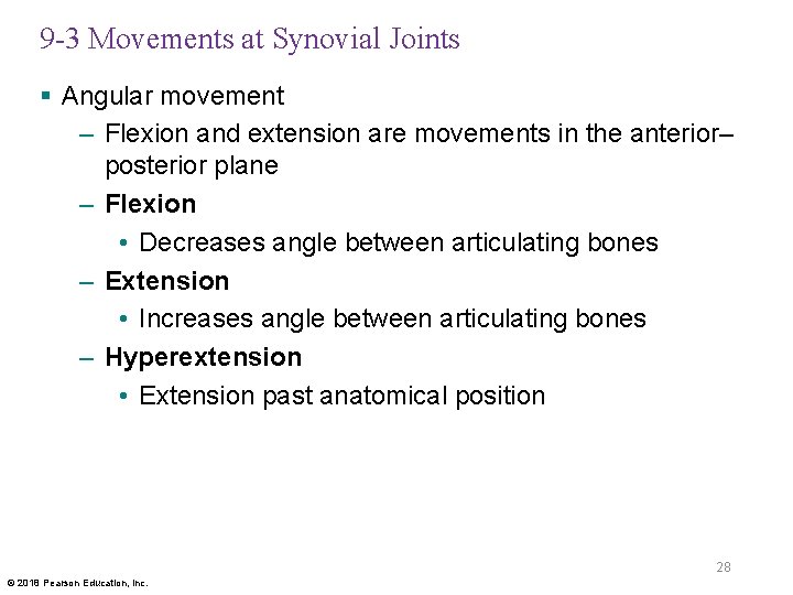 9 -3 Movements at Synovial Joints § Angular movement – Flexion and extension are