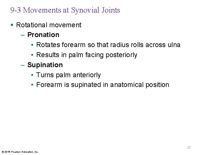 9 -3 Movements at Synovial Joints § Rotational movement – Pronation • Rotates forearm