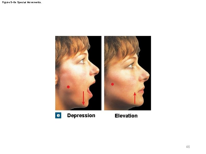 Figure 9– 5 e Special Movements. e Depression Elevation 46 