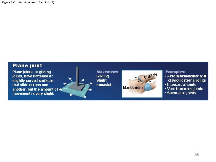 Figure 9– 2 Joint Movement (Part 7 of 12). Plane joints, or gliding joints,