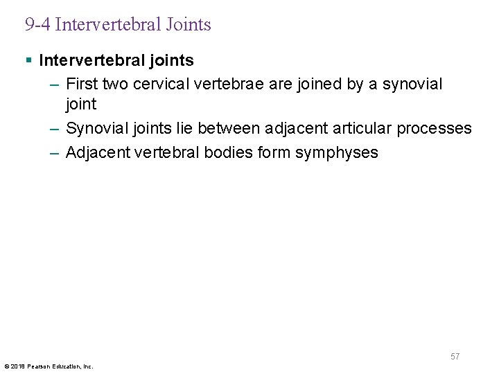 9 -4 Intervertebral Joints § Intervertebral joints – First two cervical vertebrae are joined