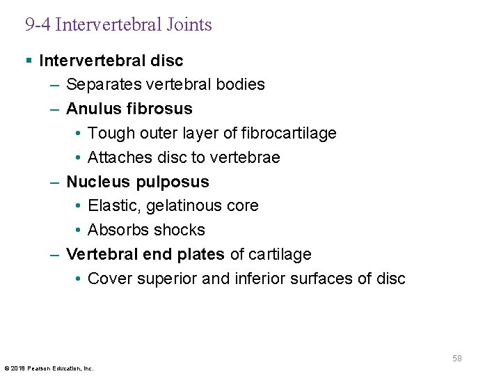 9 -4 Intervertebral Joints § Intervertebral disc – Separates vertebral bodies – Anulus fibrosus