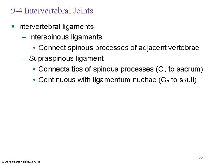 9 -4 Intervertebral Joints § Intervertebral ligaments – Interspinous ligaments • Connect spinous processes