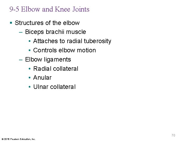 9 -5 Elbow and Knee Joints § Structures of the elbow – Biceps brachii