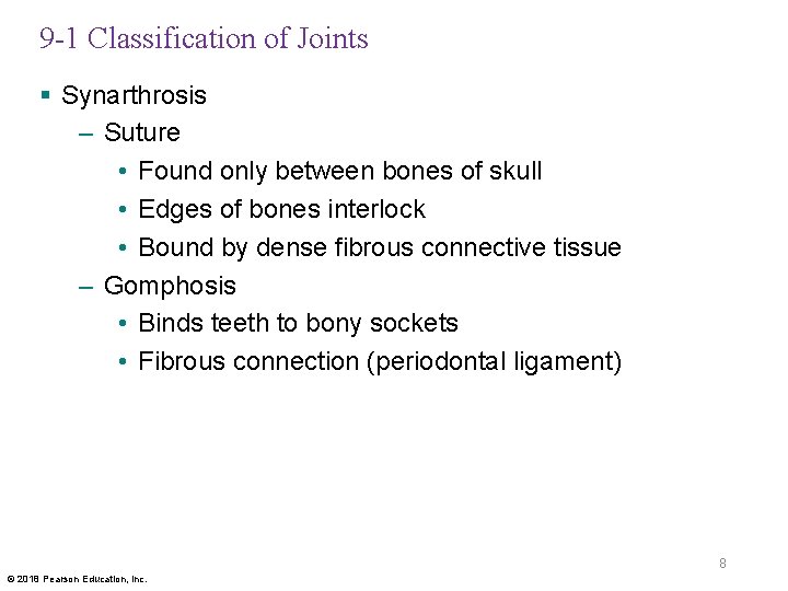9 -1 Classification of Joints § Synarthrosis – Suture • Found only between bones