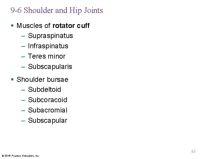 9 -6 Shoulder and Hip Joints § Muscles of rotator cuff – Supraspinatus –