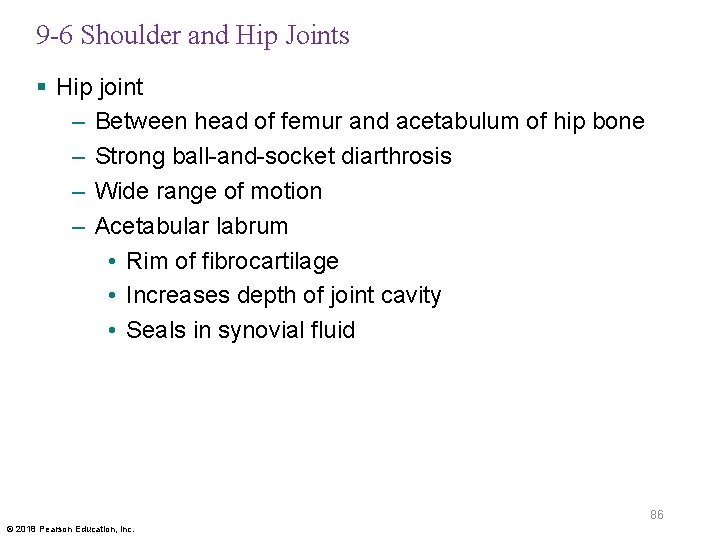 9 -6 Shoulder and Hip Joints § Hip joint – Between head of femur