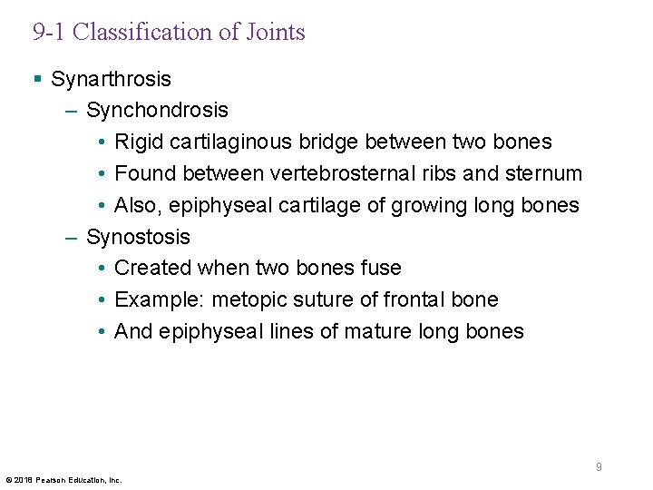 9 -1 Classification of Joints § Synarthrosis – Synchondrosis • Rigid cartilaginous bridge between