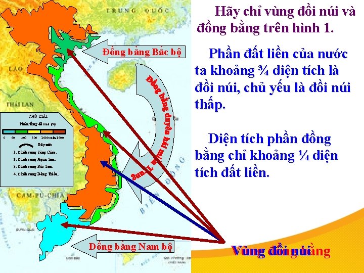 Hãy chỉ vùng đồi núi và đồng bằng trên hình 1. Đồng bằng Bắc