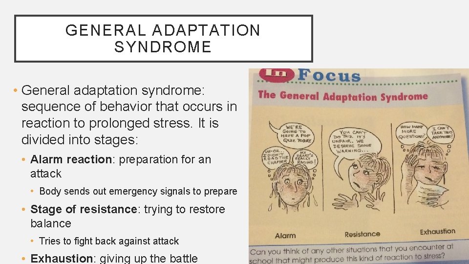 GENERAL ADAPTATION SYNDROME • General adaptation syndrome: sequence of behavior that occurs in reaction