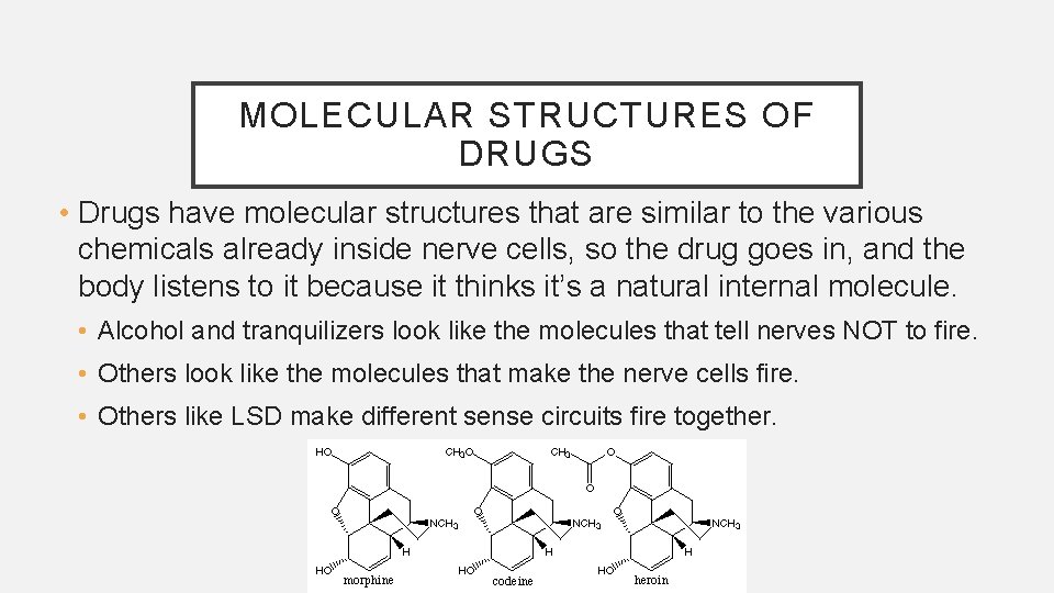 MOLECULAR STRUCTURES OF DRUGS • Drugs have molecular structures that are similar to the