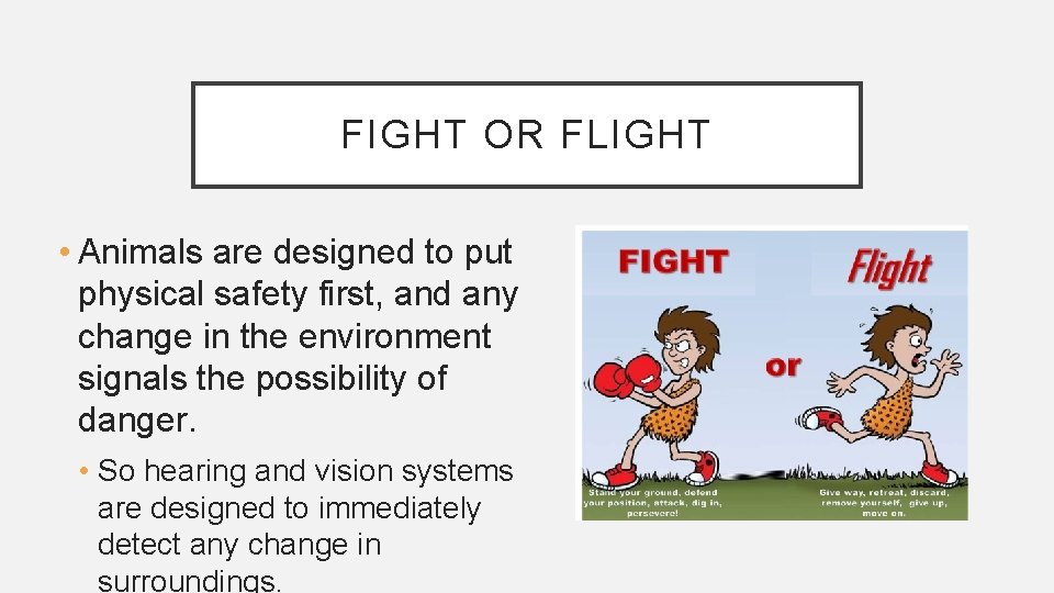 FIGHT OR FLIGHT • Animals are designed to put physical safety first, and any