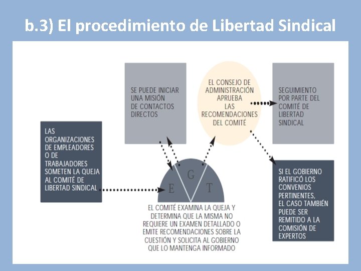 b. 3) El procedimiento de Libertad Sindical b. 3) El procedimiento de Libertad Sindical