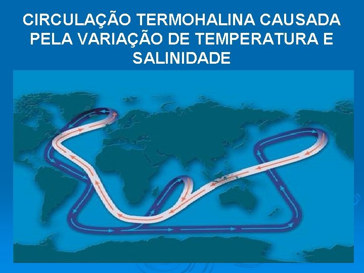 CIRCULAÇÃO TERMOHALINA CAUSADA PELA VARIAÇÃO DE TEMPERATURA E SALINIDADE 