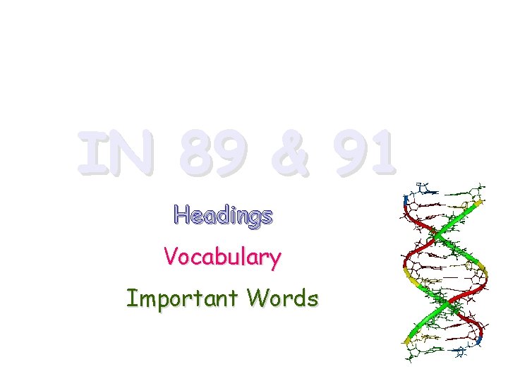 IN 89 & 91 Headings Vocabulary Important Words 