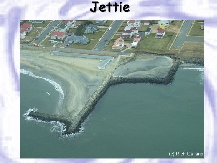 Jettie 