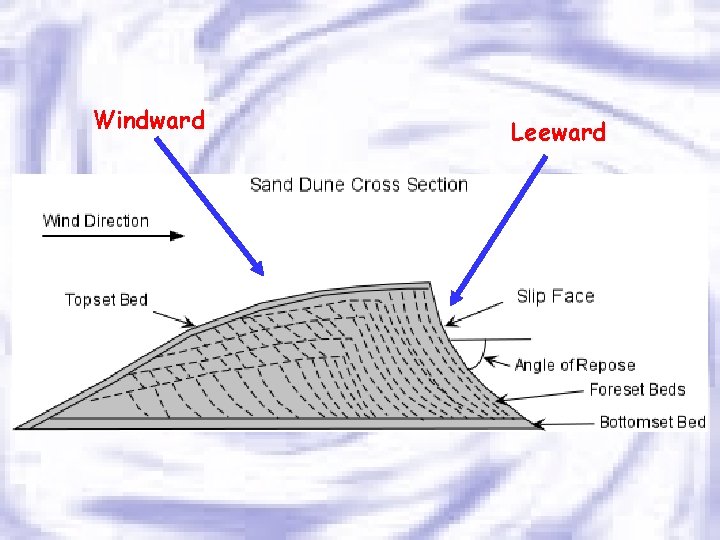 Windward Leeward 