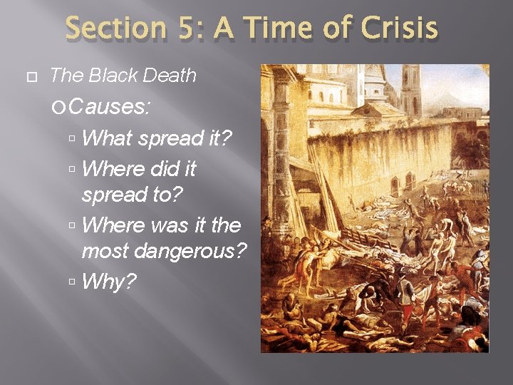 Section 5: A Time of Crisis The Black Death Causes: What spread it? Where