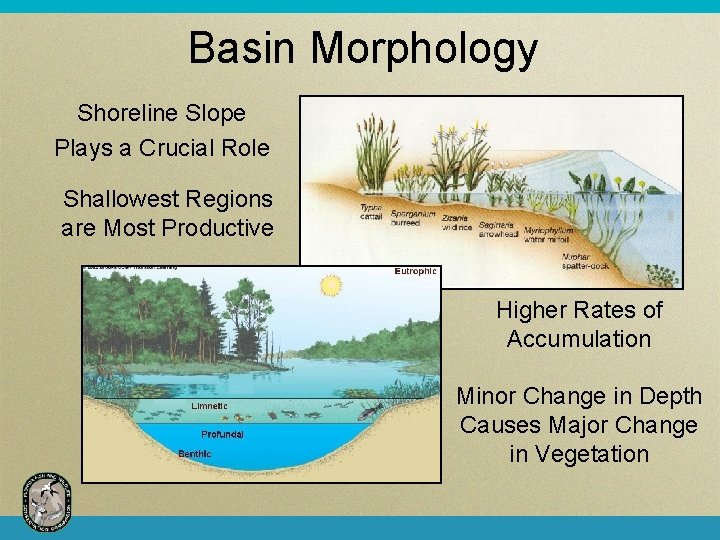 Basin Morphology Shoreline Slope Plays a Crucial Role Shallowest Regions are Most Productive Higher