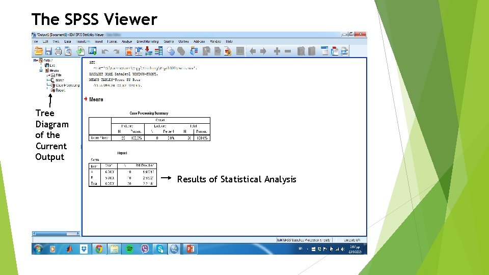 The SPSS Viewer Tree Diagram of the Current Output Results of Statistical Analysis 