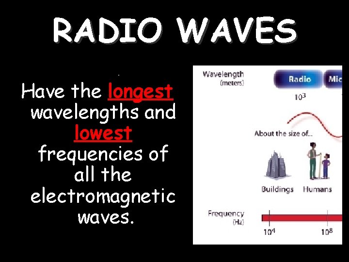 RADIO WAVES Have the longest wavelengths and lowest frequencies of all the electromagnetic waves. RADIO WAVES Have the longest wavelengths and lowest frequencies of all the electromagnetic waves.