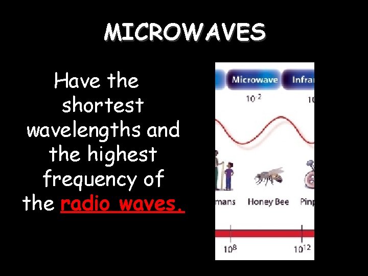 MICROWAVES Have the shortest wavelengths and the highest frequency of the radio waves. MICROWAVES Have the shortest wavelengths and the highest frequency of the radio waves.