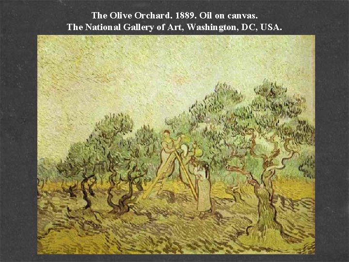 The Olive Orchard. 1889. Oil on canvas. The National Gallery of Art, Washington, DC,