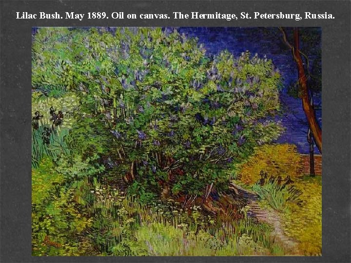 Lilac Bush. May 1889. Oil on canvas. The Hermitage, St. Petersburg, Russia. 