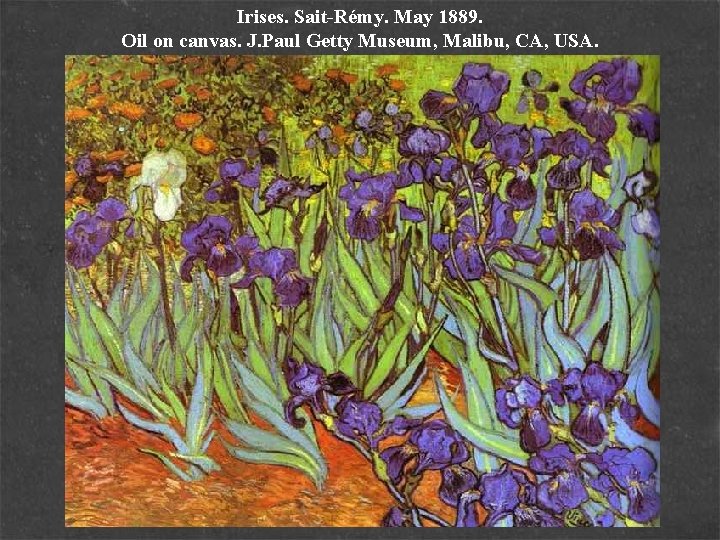 Irises. Sait-Rémy. May 1889. Oil on canvas. J. Paul Getty Museum, Malibu, CA, USA.