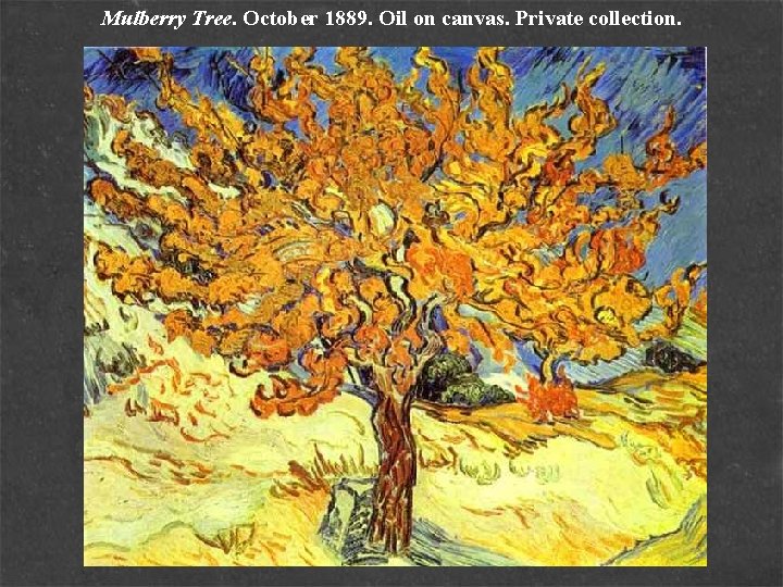 Mulberry Tree. October 1889. Oil on canvas. Private collection. 