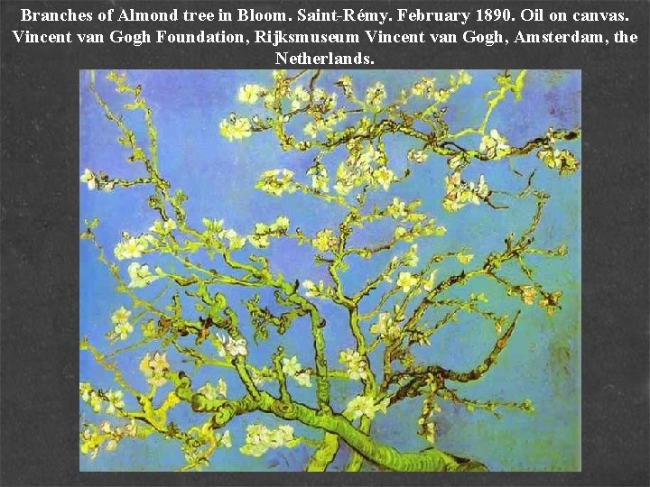 Branches of Almond tree in Bloom. Saint-Rémy. February 1890. Oil on canvas. Vincent van