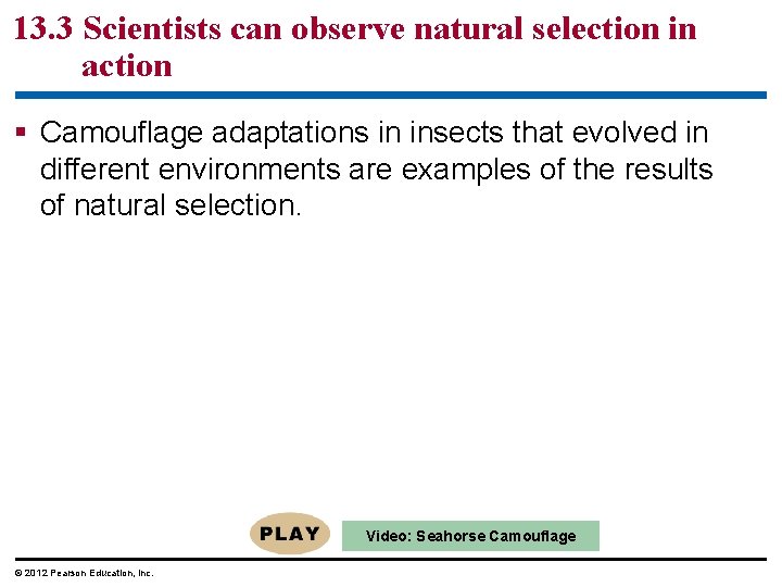 13. 3 Scientists can observe natural selection in action Camouflage adaptations in insects that
