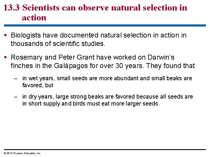 13. 3 Scientists can observe natural selection in action Biologists have documented natural selection