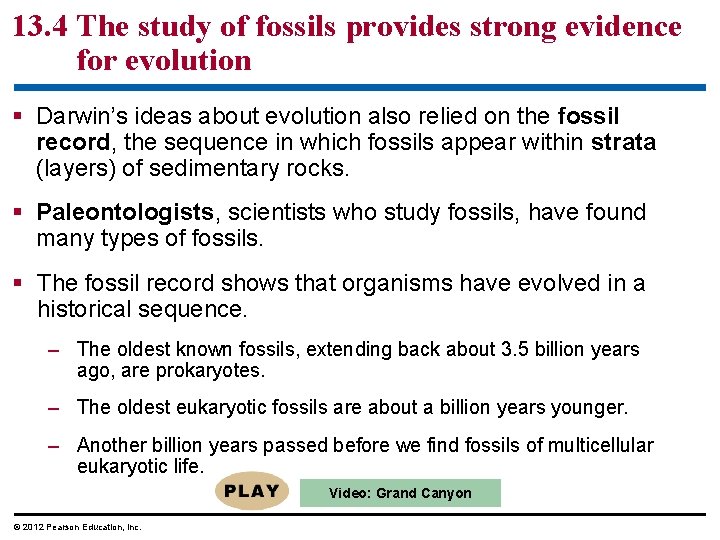 13. 4 The study of fossils provides strong evidence for evolution Darwin’s ideas about
