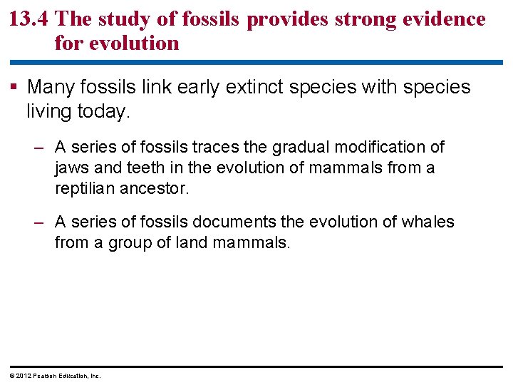 13. 4 The study of fossils provides strong evidence for evolution Many fossils link