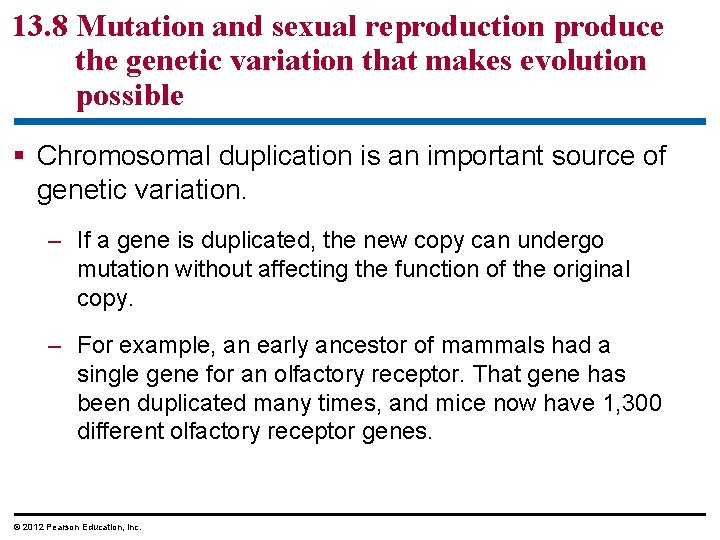 13. 8 Mutation and sexual reproduction produce the genetic variation that makes evolution possible