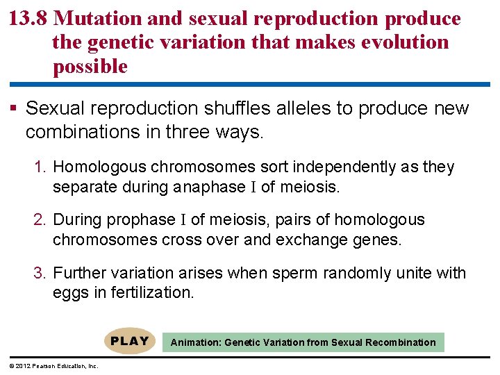 13. 8 Mutation and sexual reproduction produce the genetic variation that makes evolution possible