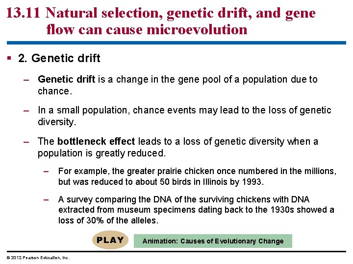 13. 11 Natural selection, genetic drift, and gene flow can cause microevolution 2. Genetic