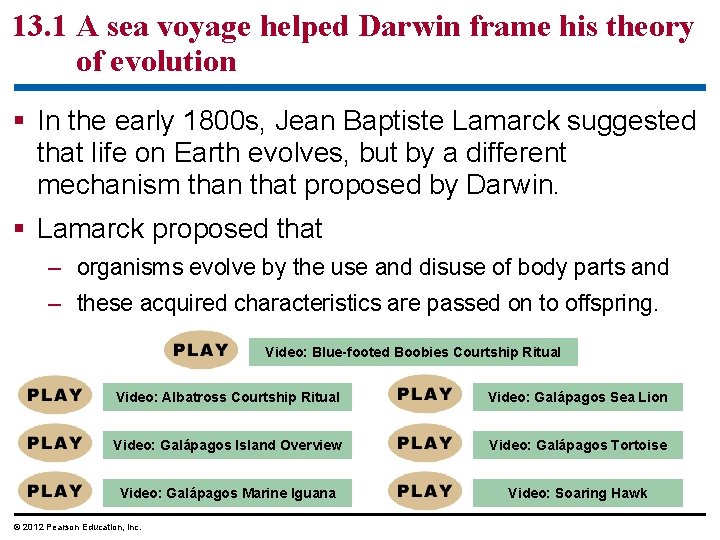 13. 1 A sea voyage helped Darwin frame his theory of evolution In the