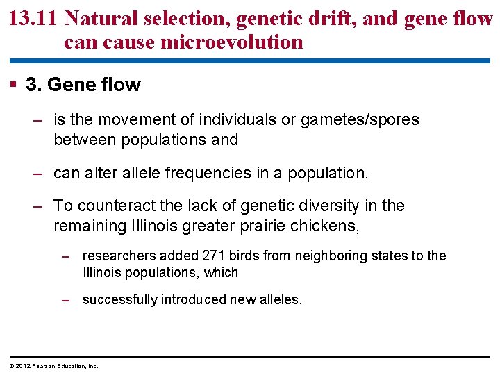 13. 11 Natural selection, genetic drift, and gene flow can cause microevolution 3. Gene