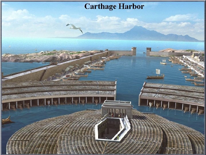 Carthage Harbor 