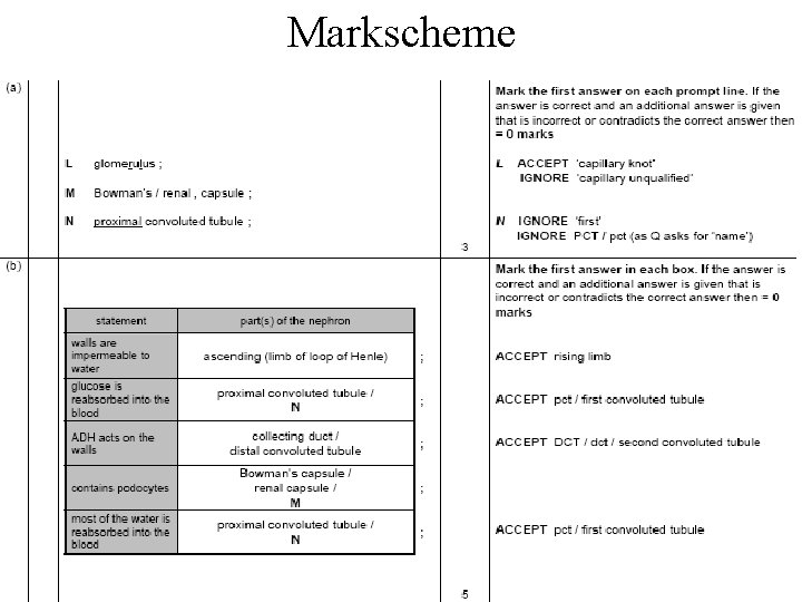 Markscheme 
