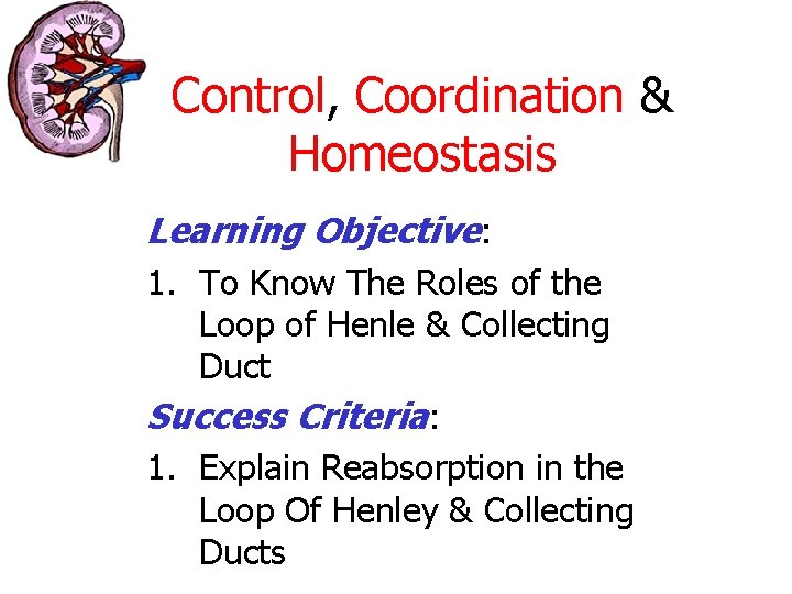 Control, Coordination & Homeostasis Learning Objective: 1. To Know The Roles of the Loop