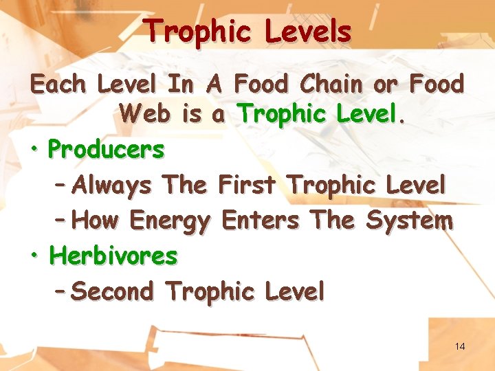 Trophic Levels Each Level In A Food Chain or Food Web is a Trophic