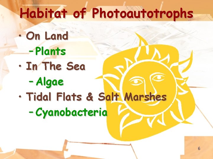 Habitat of Photoautotrophs • On Land – Plants • In The Sea – Algae