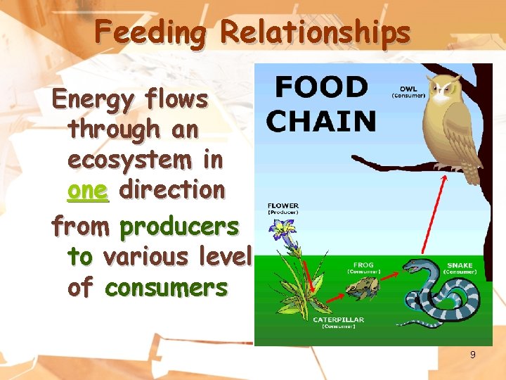 Feeding Relationships Energy flows through an ecosystem in one direction from producers to various