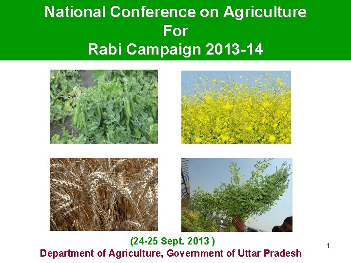 National Conference on Agriculture For Rabi Campaign 2013 -14 (24 -25 Sept. 2013 )